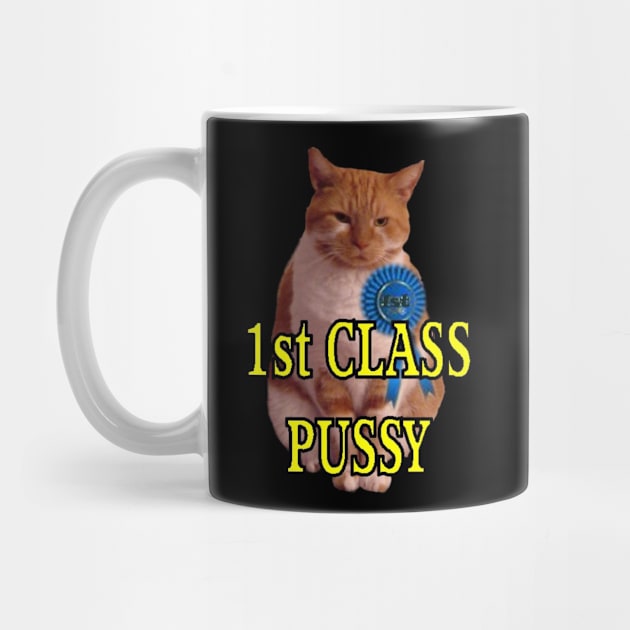 1st class pussy by Stiffmiddlefinger